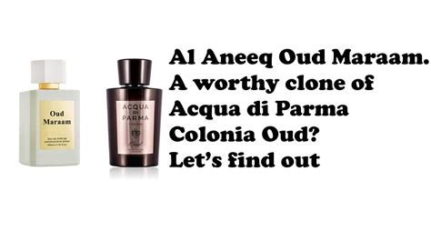 acqua di parma colonia clone.